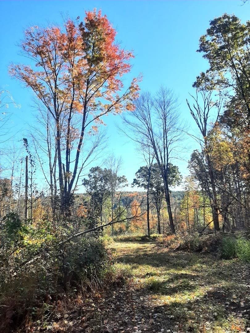 0 Brookfield Road, Brimfield MA 01010