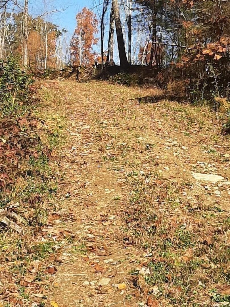 Residential at 0 Brookfield Road, Brimfield MA 01010, photo 10 of 13
