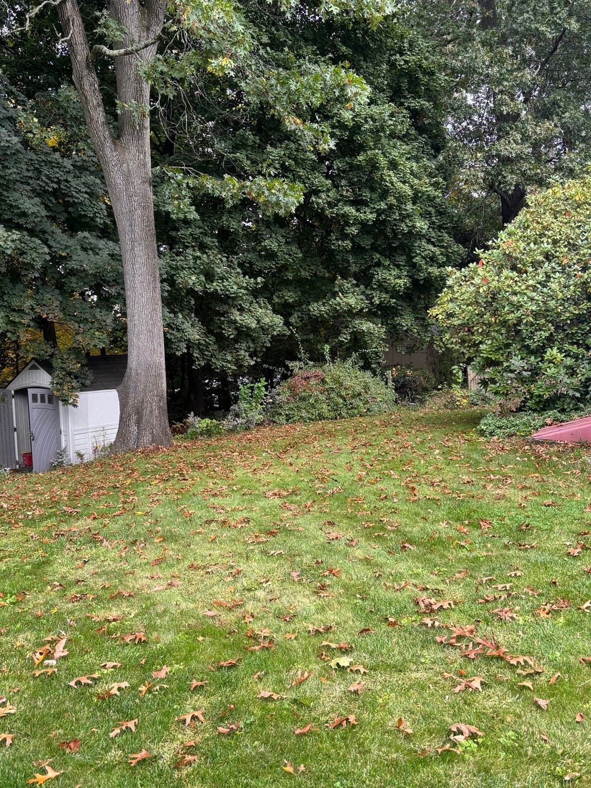 Single Family Residence at 250 W Allen Ridge Rd, Springfield MA 01118, photo 3 of 19