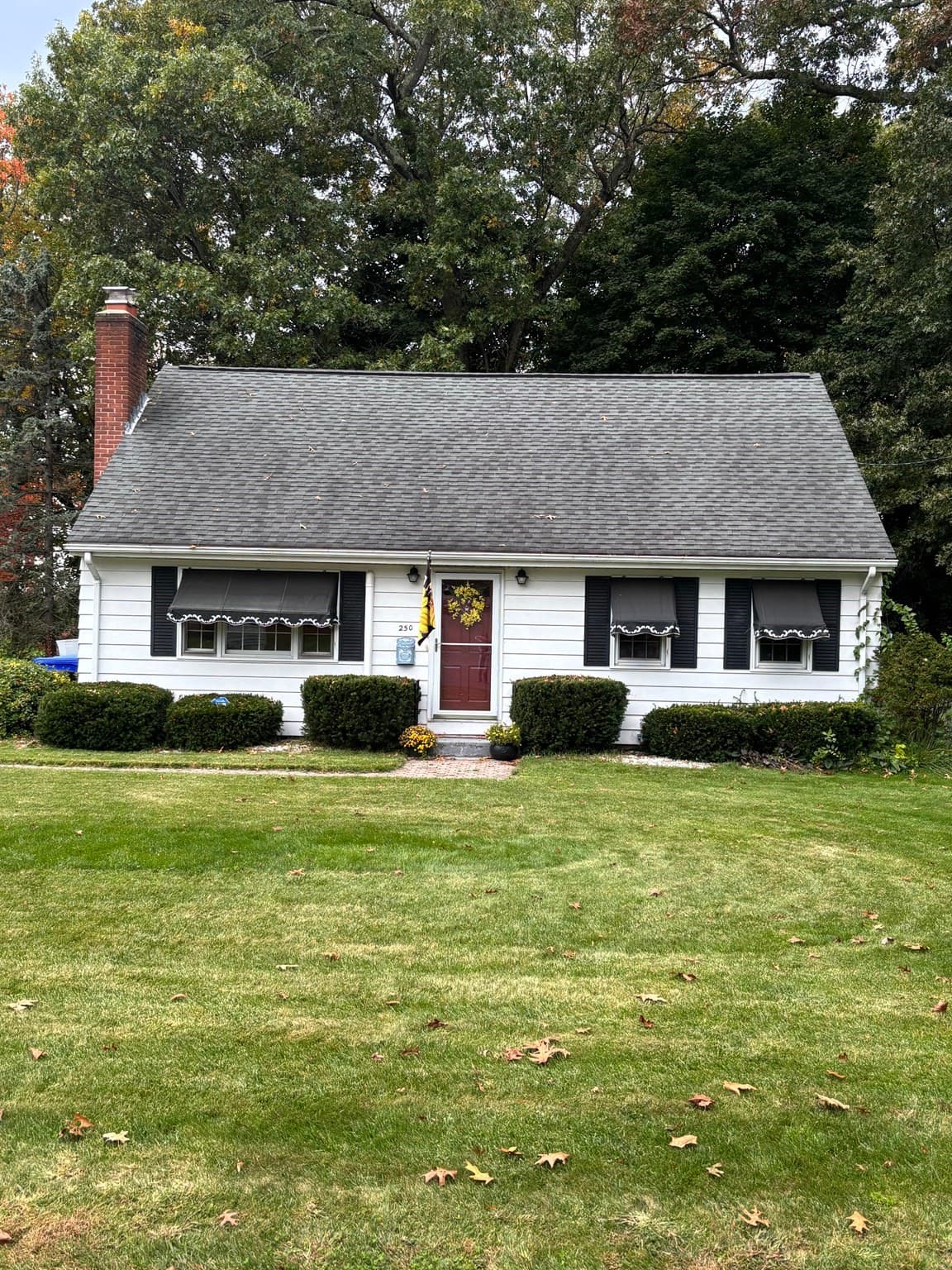 250 W Allen Ridge Rd, Springfield MA 01118