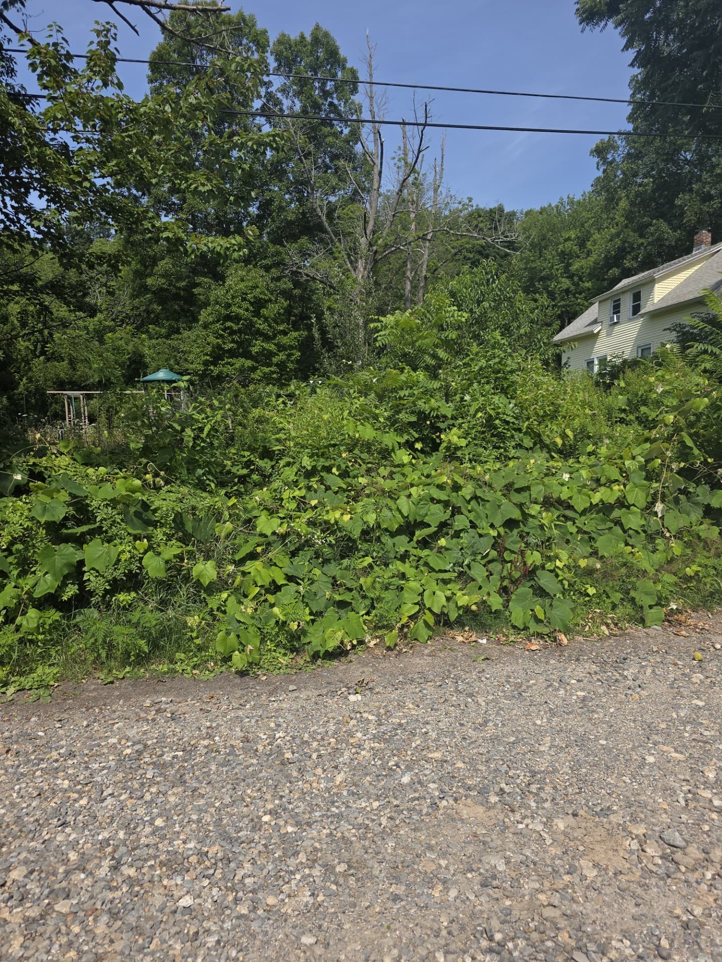 Single Family Residence at 42-44 Maravista Rd, Worcester MA 01606, photo 3 of 4