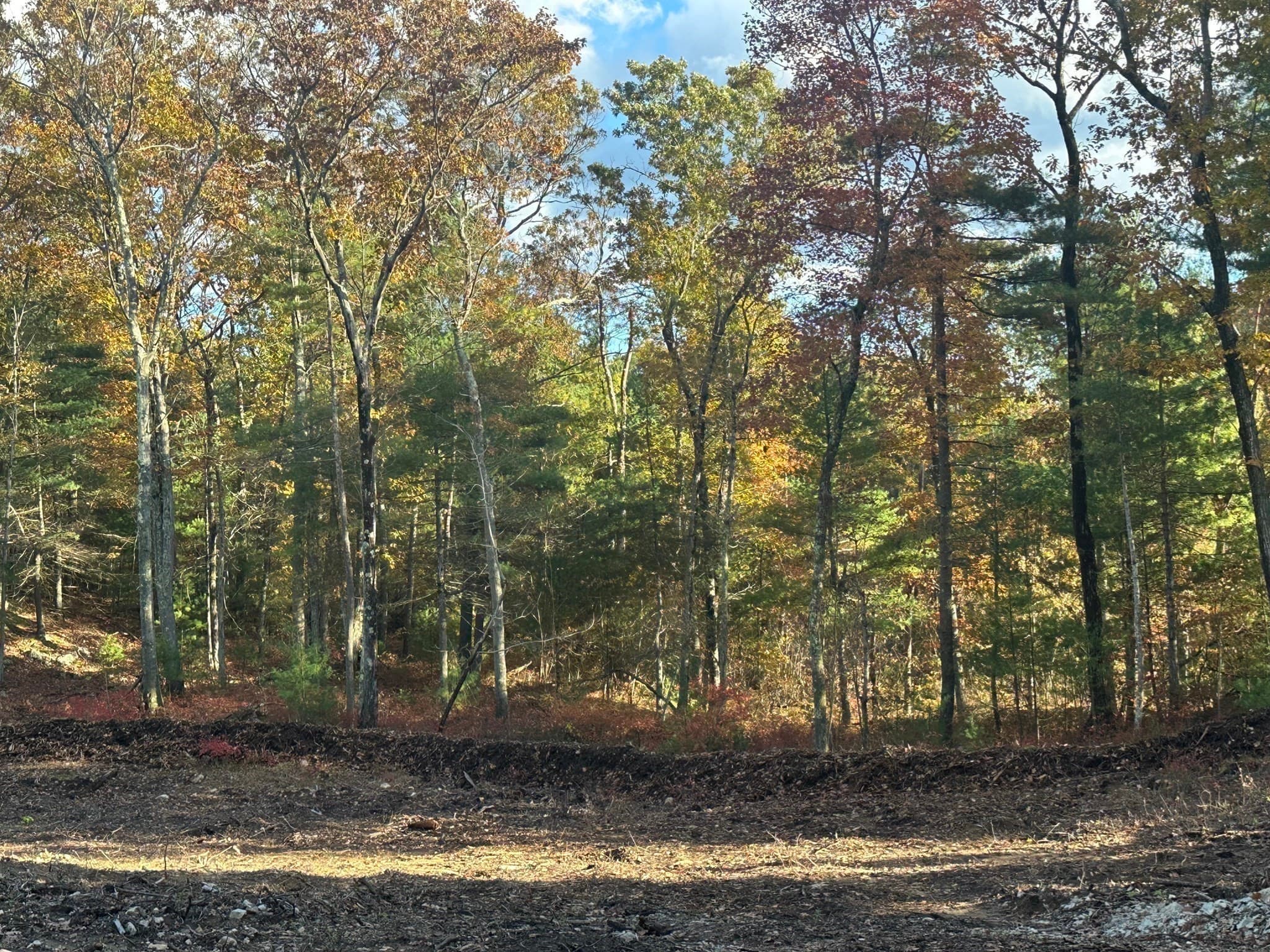 Residential at 130 Fall, Franklin MA 02038, photo 2 of 4