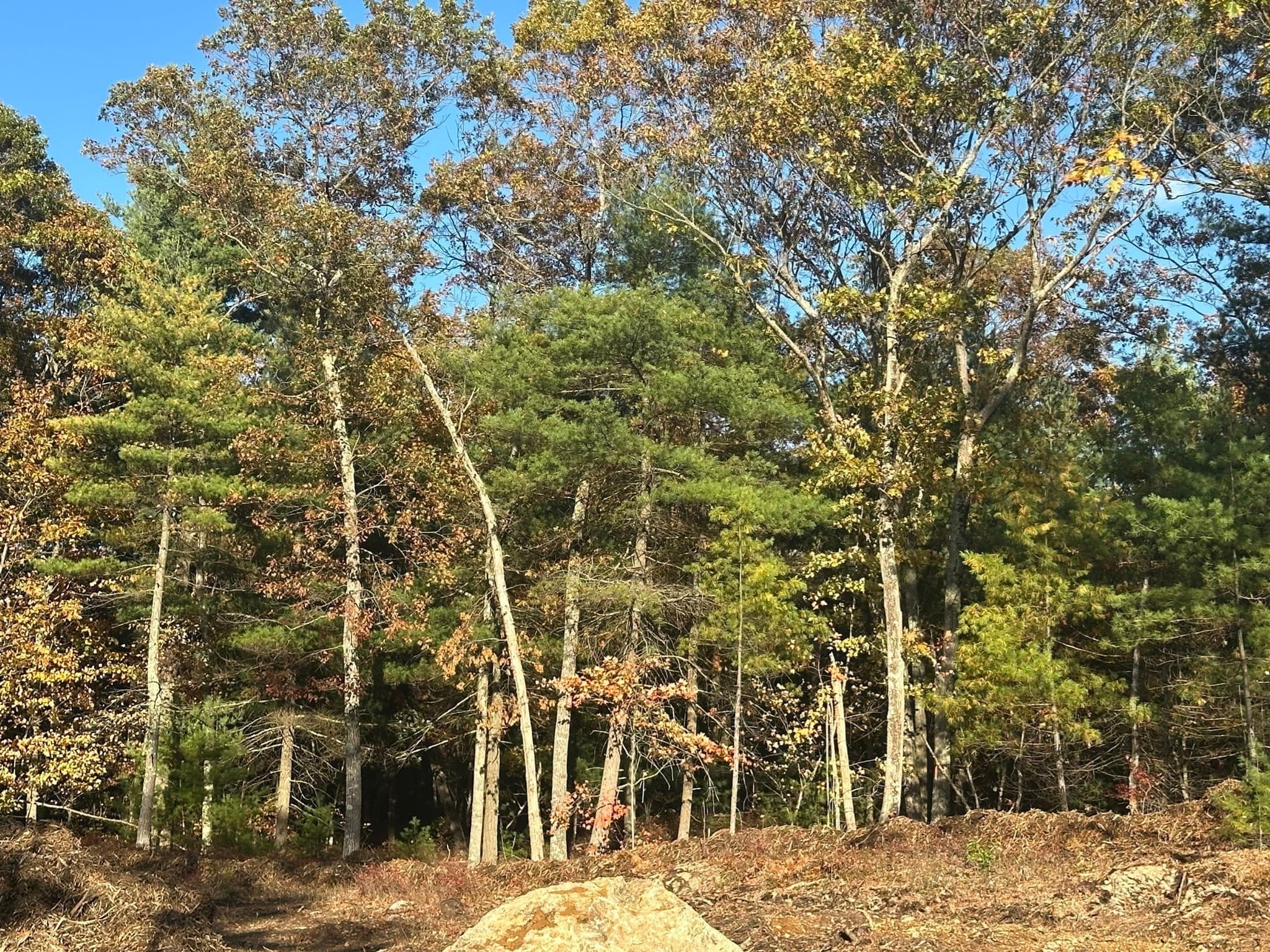 130 Fall, Franklin MA 02038