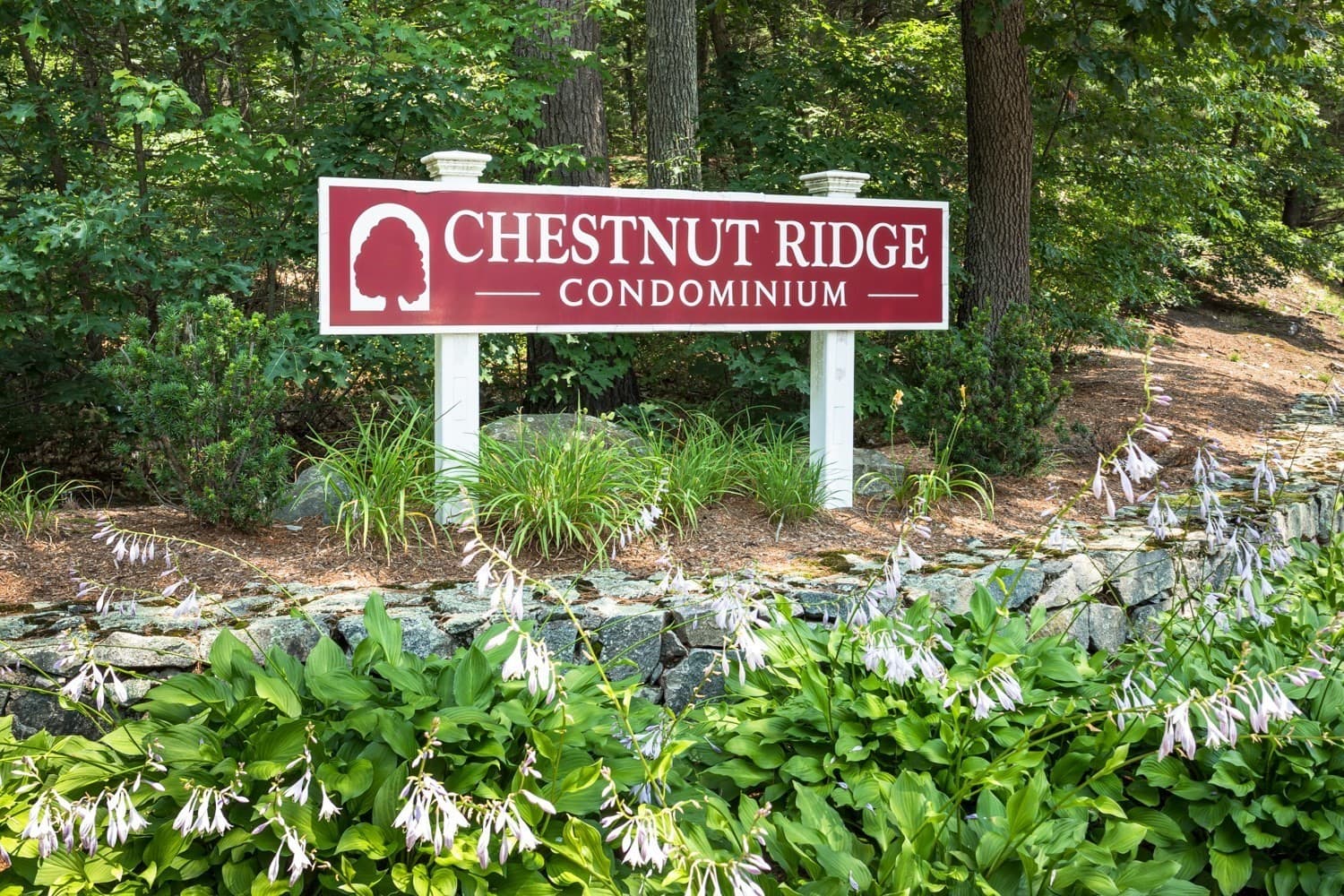Condominium at 10 Magnolia Dr # 10, Franklin MA 02038, photo 40 of 42