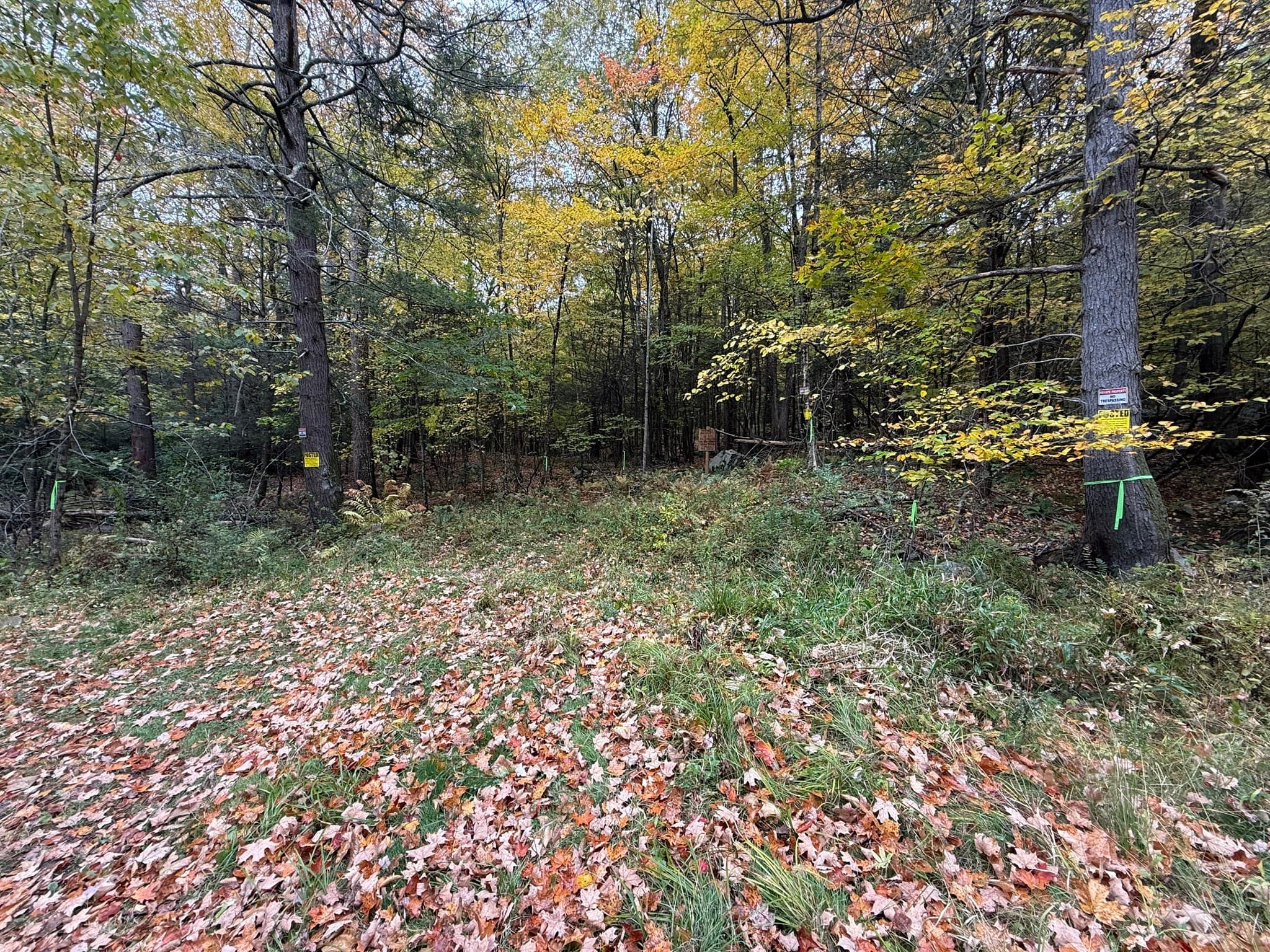 Non-Buildable at 0 Old Stage Rd, Hatfield MA 01038, photo 3 of 3