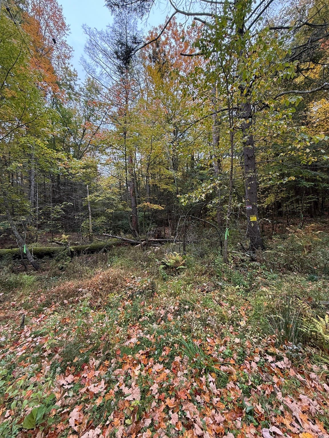 0 Old Stage Rd, Hatfield MA 01038