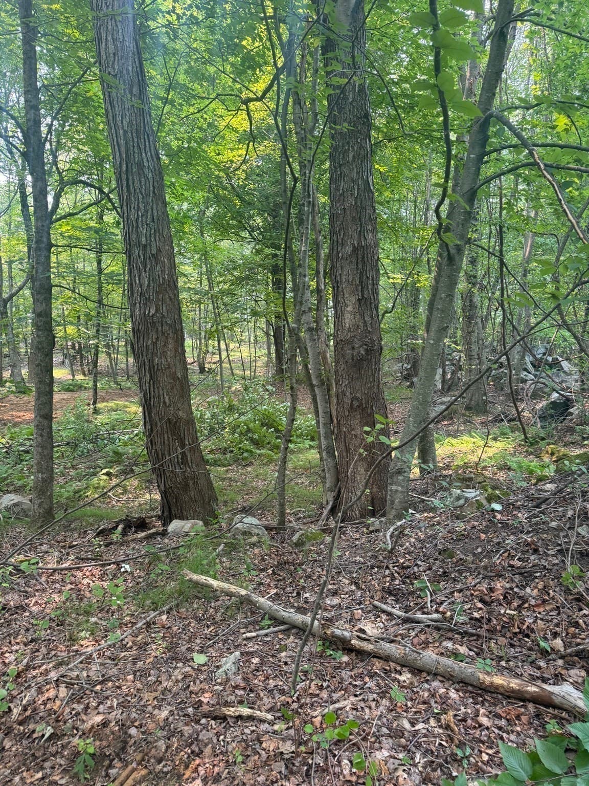 Residential at 000 Undisclosed, Holliston MA 01746, photo 2 of 3