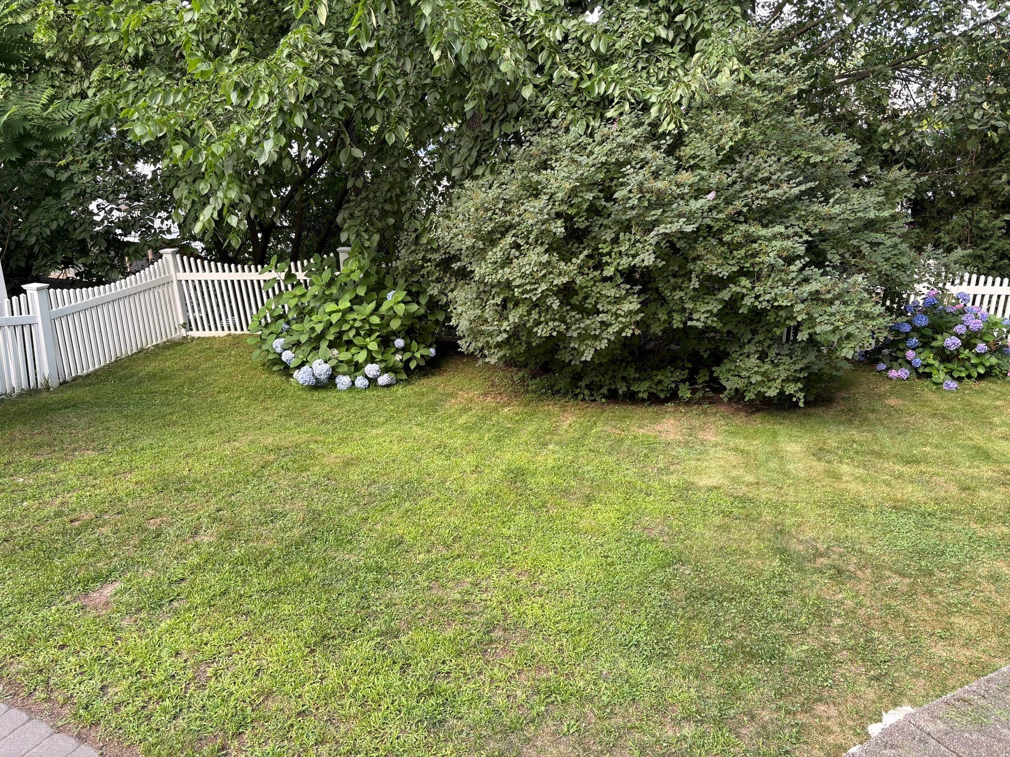 Condominium at 103 Eastwood Circuit # 1, Boston MA 02132, photo 21 of 26