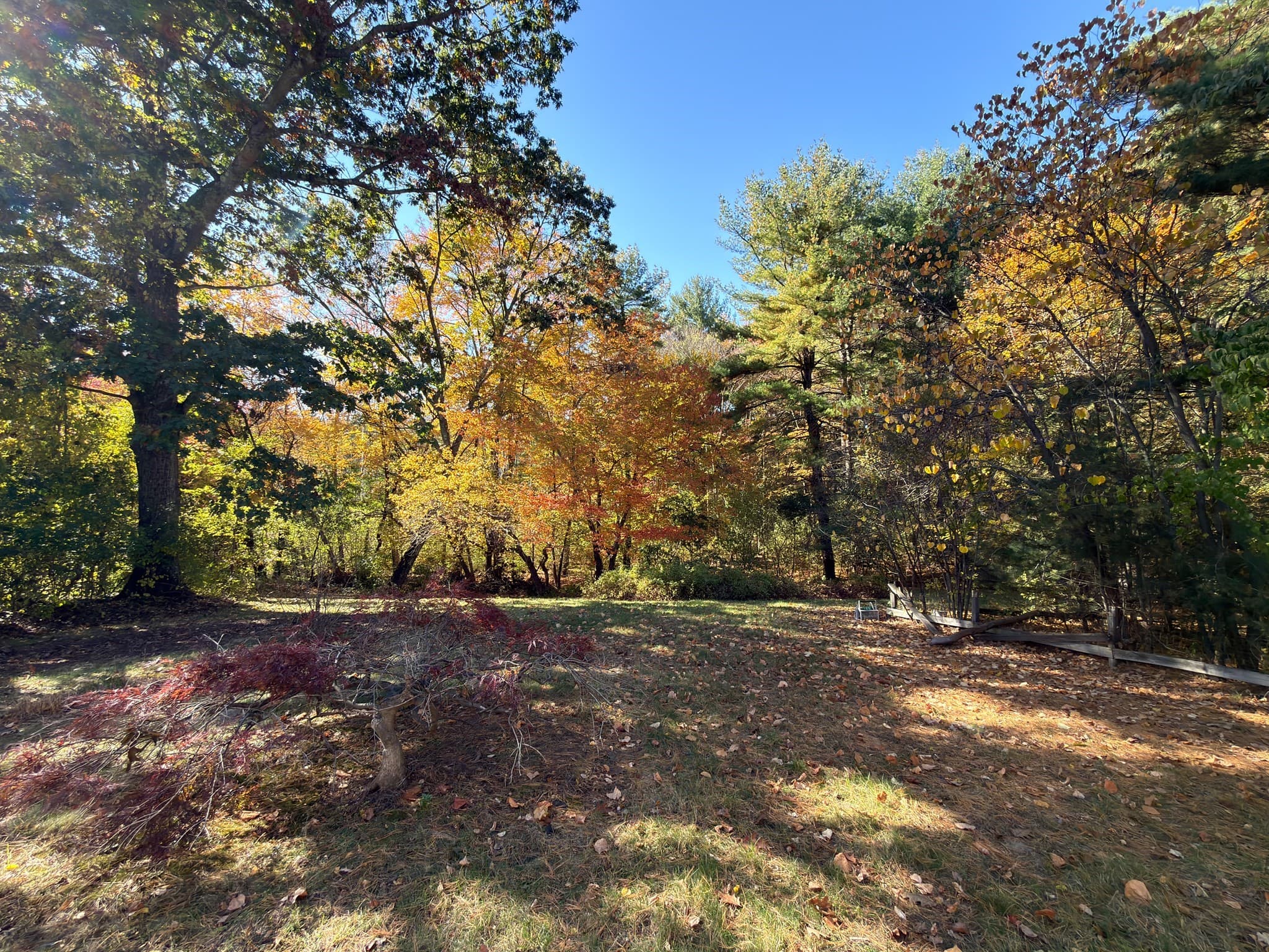 Single Family Residence at 49 Bradford Rd, Tewksbury MA 01876, photo 5 of 14