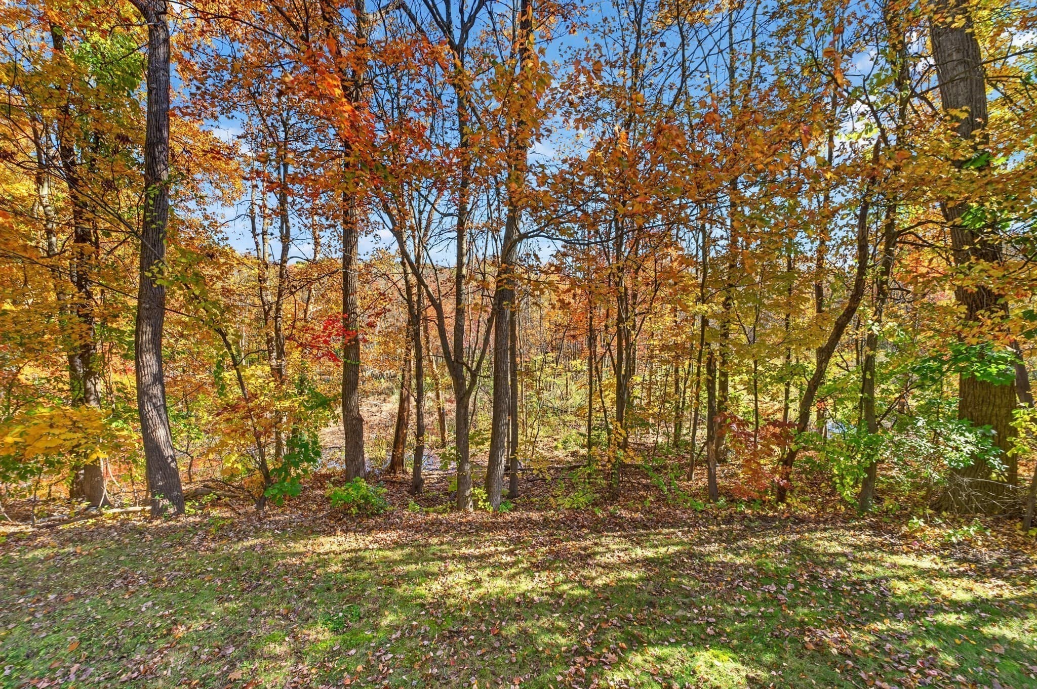 Single Family Residence at 9 Arbor Drive, Shrewsbury MA 01545, photo 5 of 31