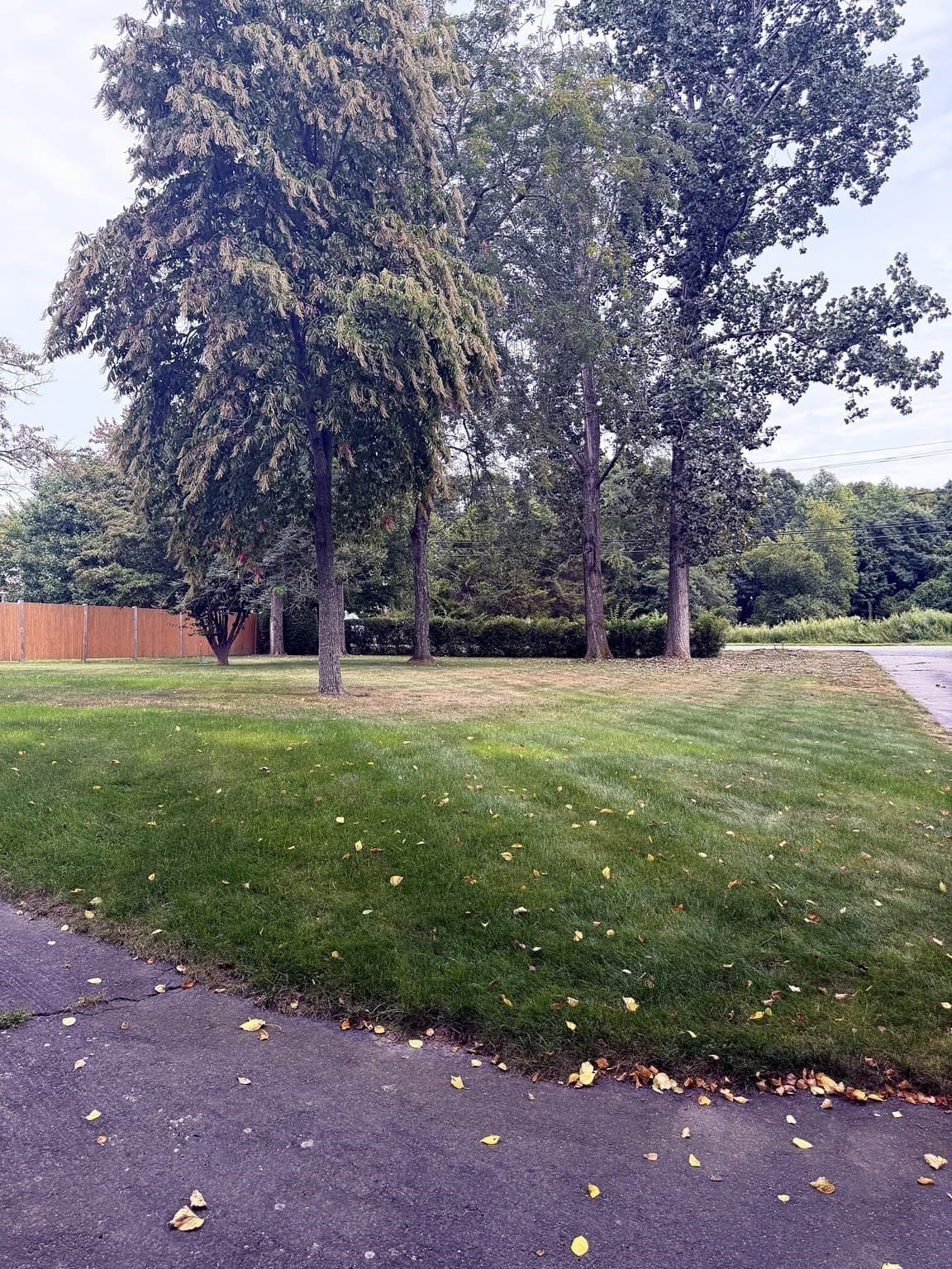 Single Family Residence at 394 Bedford St, Lakeville MA 02347, photo 21 of 28