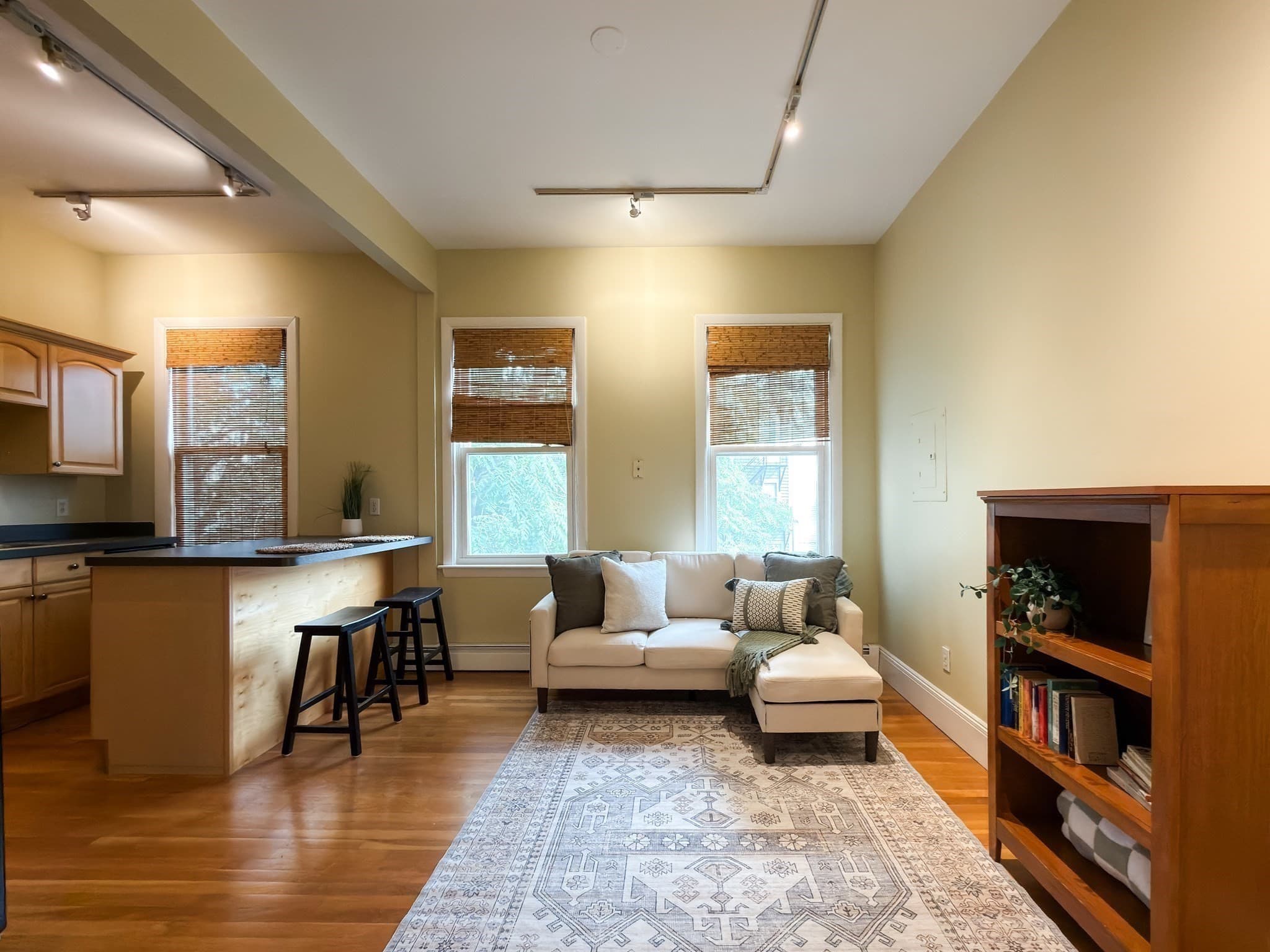 Condominium at 392 Norfolk St # 2, Cambridge MA 02139, photo 2 of 11
