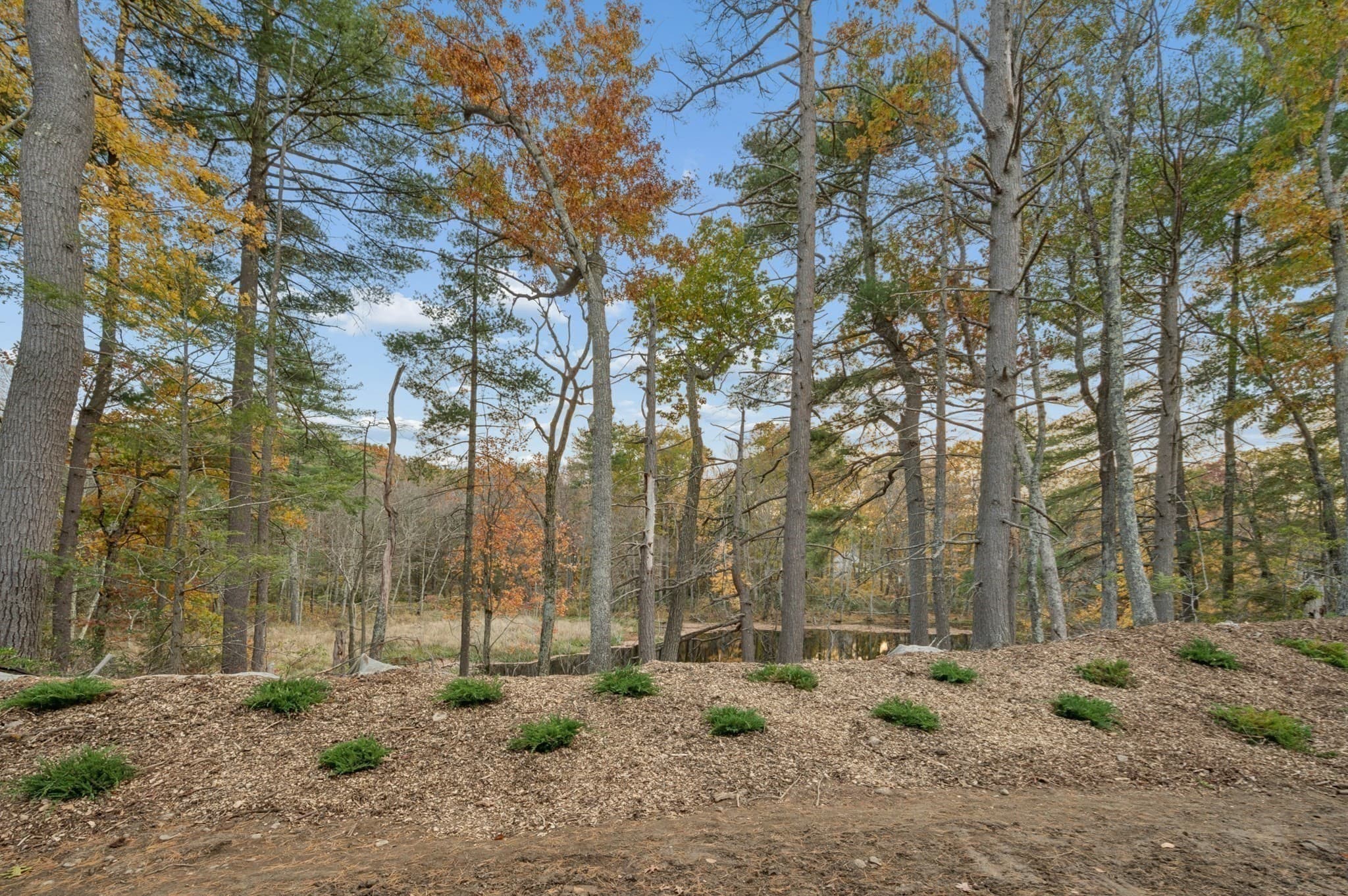 Single Family Residence at 35 Martin, Douglas MA 01516, photo 32 of 38