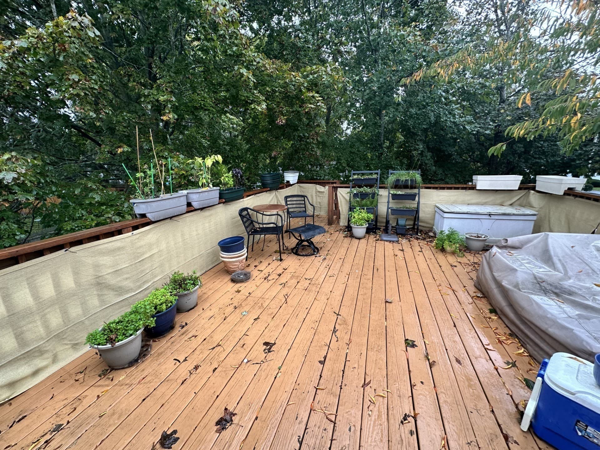 Single Family Residence at 76 Walker St, Falmouth MA 02540, photo 16 of 24