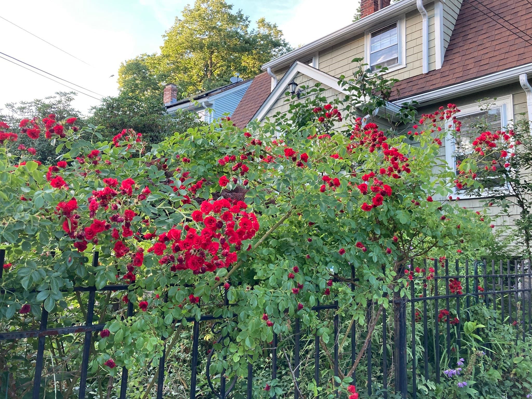 Single Family Residence at 19 Deforest St, Boston MA 02136, photo 36 of 42