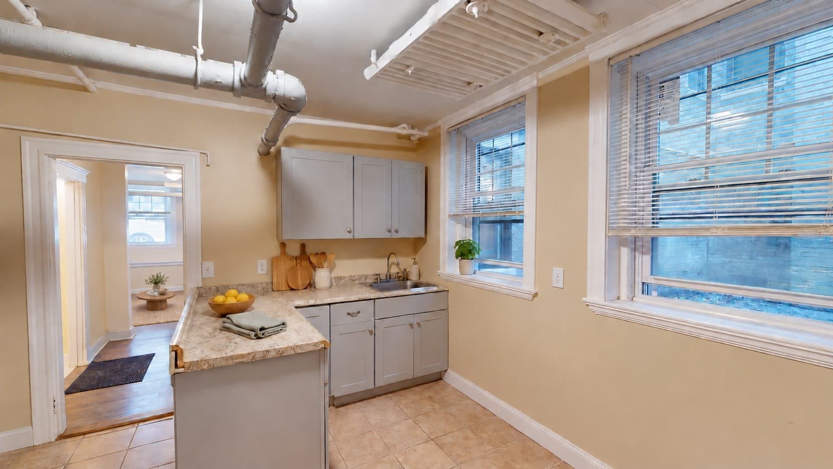 Condominium at 313 Allston St # B1, Boston MA 02135, photo 8 of 10