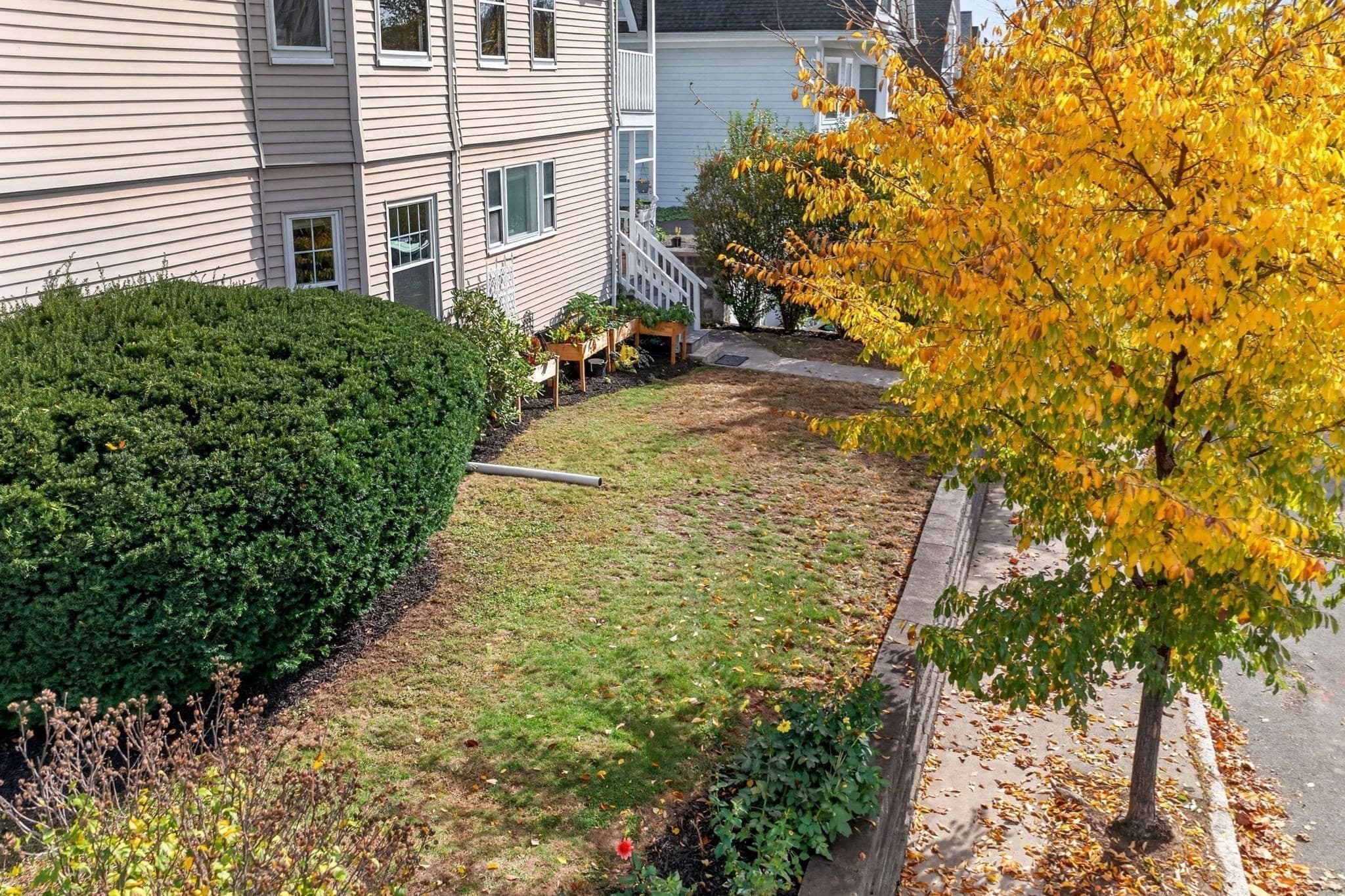 Condominium at 1540 Centre St # 2, Boston MA 02131, photo 27 of 30