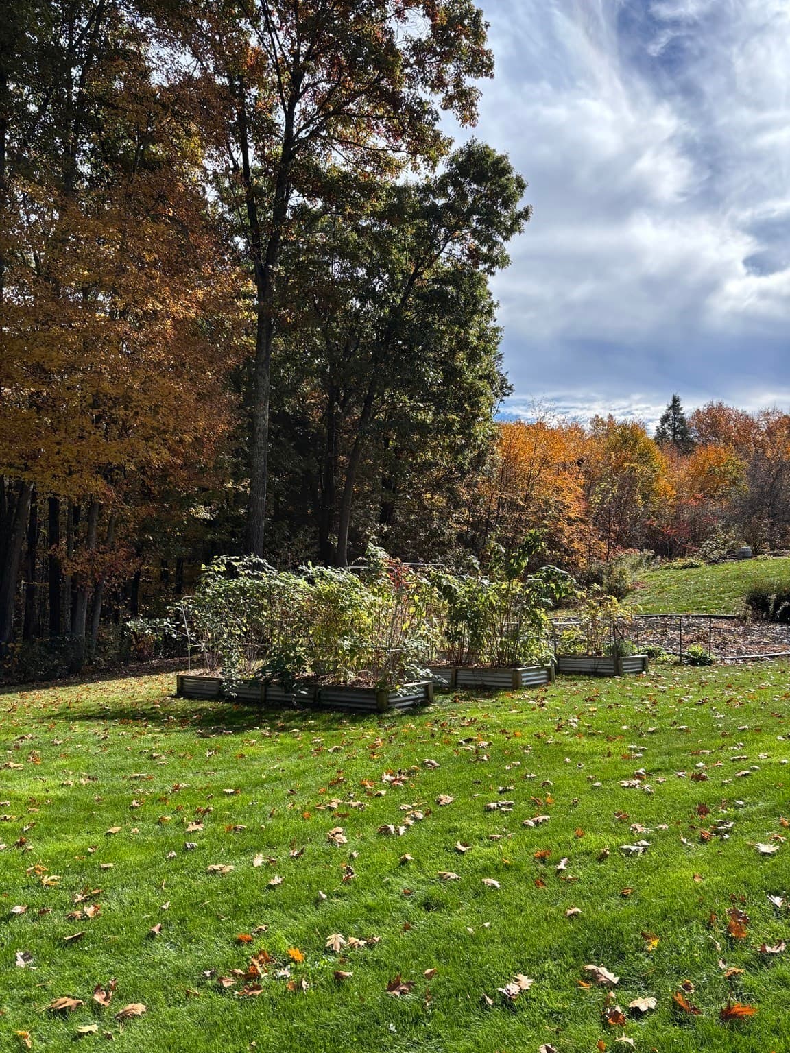 Single Family Residence at 7 Lauren Ln, Sturbridge MA 01518, photo 10 of 42