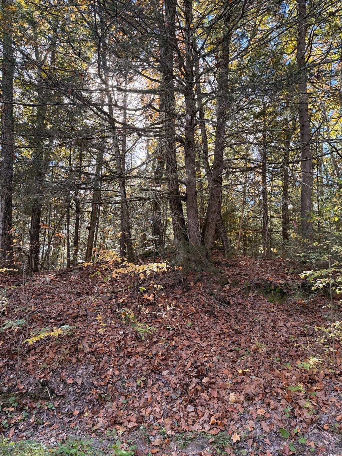 Residential at 68 Clubhouse Drive, Otis MA 01253, photo 5 of 13