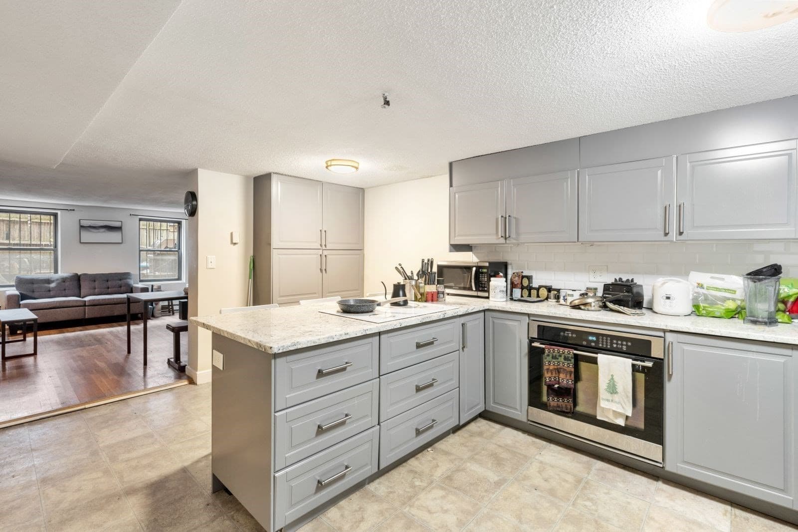 Apartment at 182 West Brookline Street # 1, Boston MA 02118, photo 2 of 12