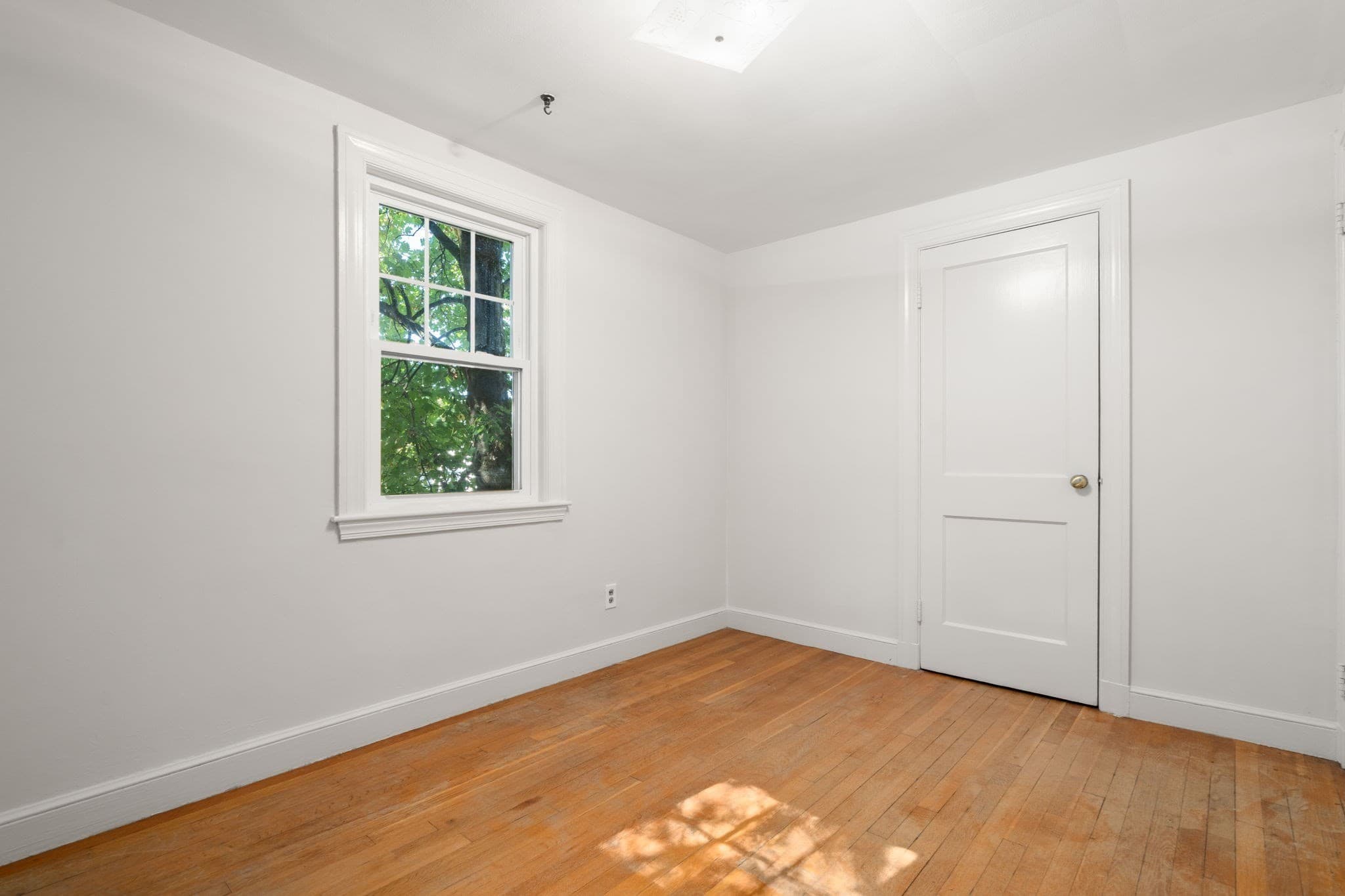 2 Family - 2 Units Up/Down at 44 Mount Vernon, Boston MA 02135, photo 9 of 18
