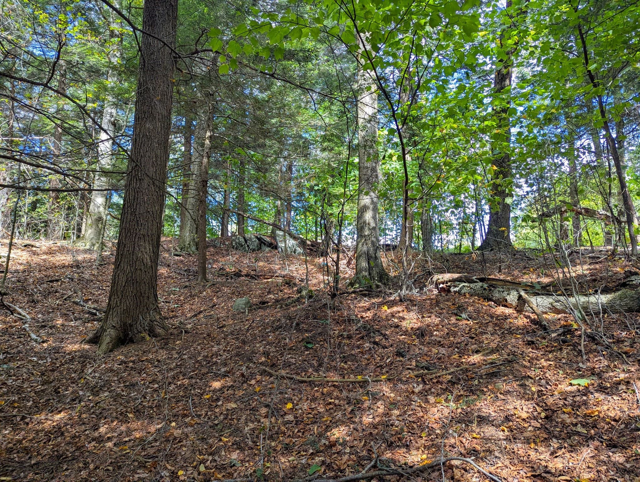 Residential at 0 Skyline Trl, Middlefield MA 01243, photo 13 of 18