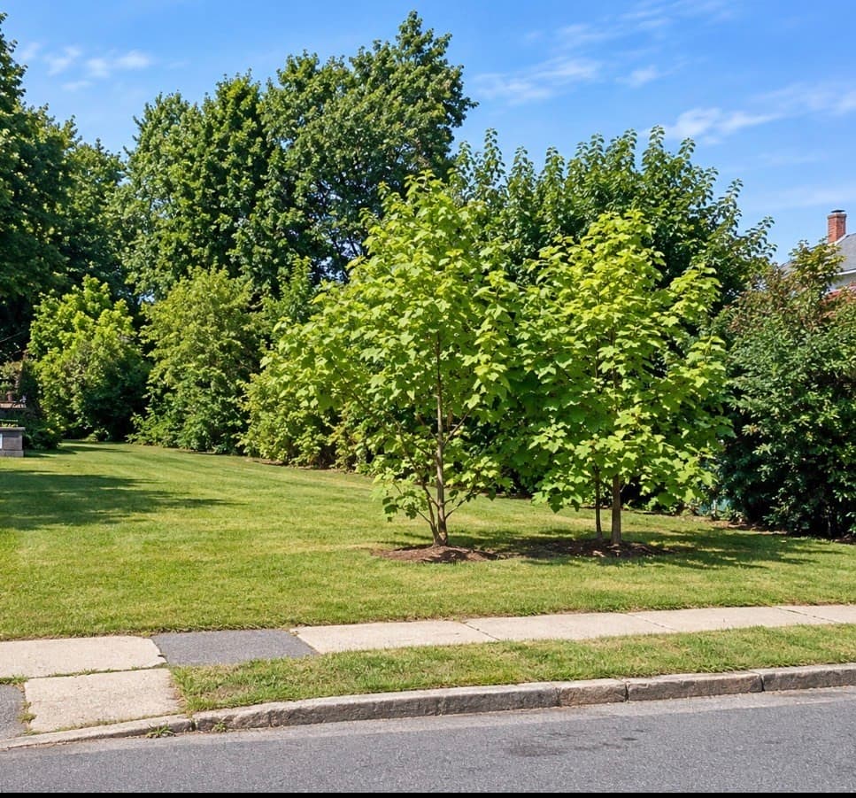 0 Olive Ave, Holyoke MA 01040