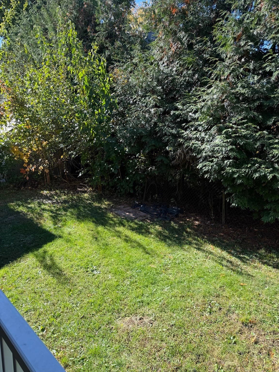 Apartment at 24 Orchard Ave # 1, Waltham MA 02452, photo 17 of 17