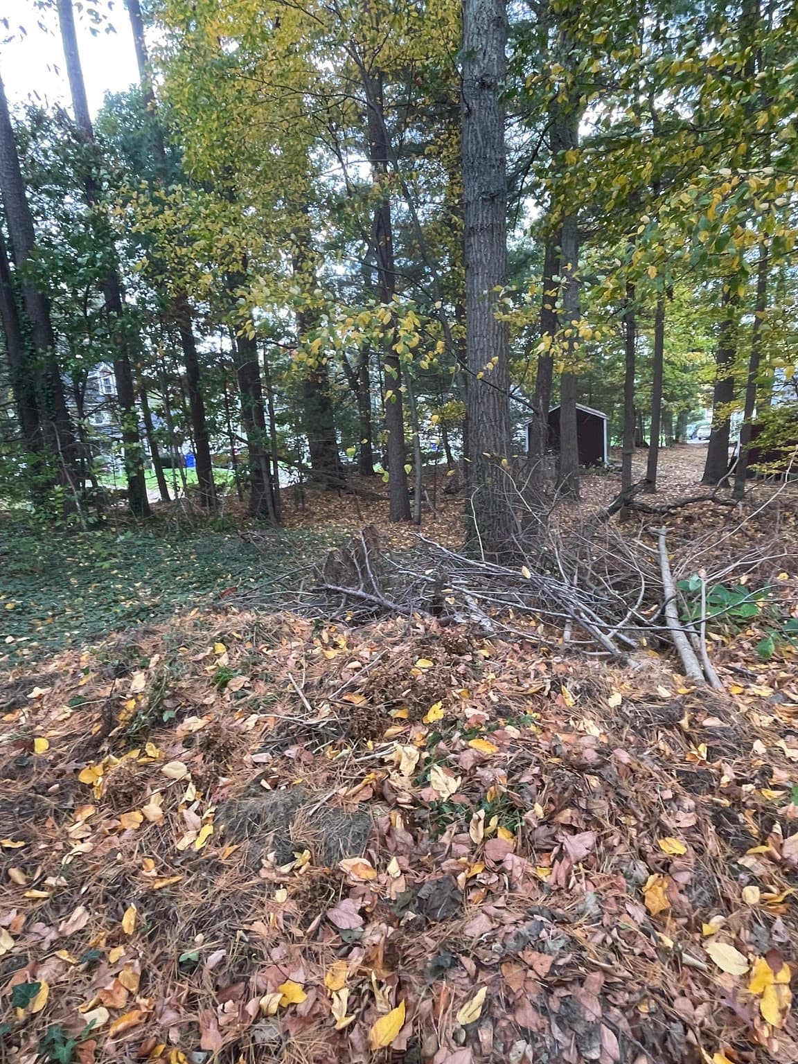 Single Family Residence at 86 Scadding, Taunton MA 02780, photo 7 of 14
