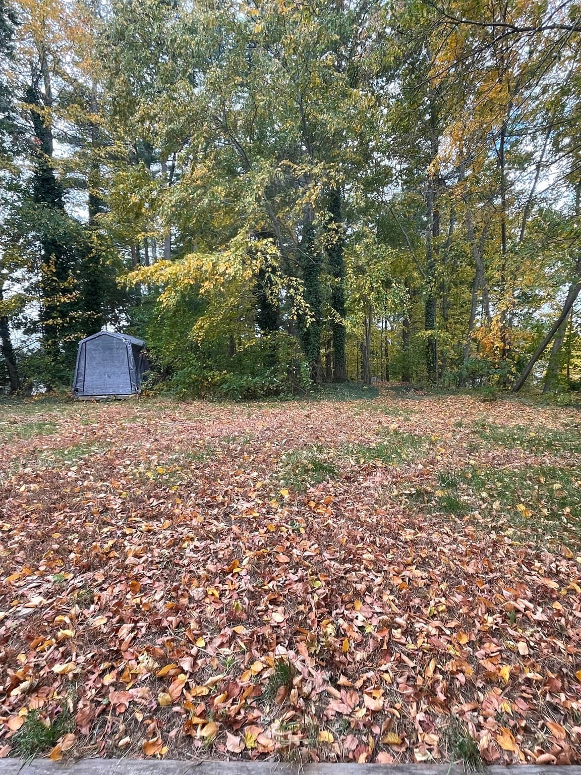 Single Family Residence at 86 Scadding, Taunton MA 02780, photo 4 of 14