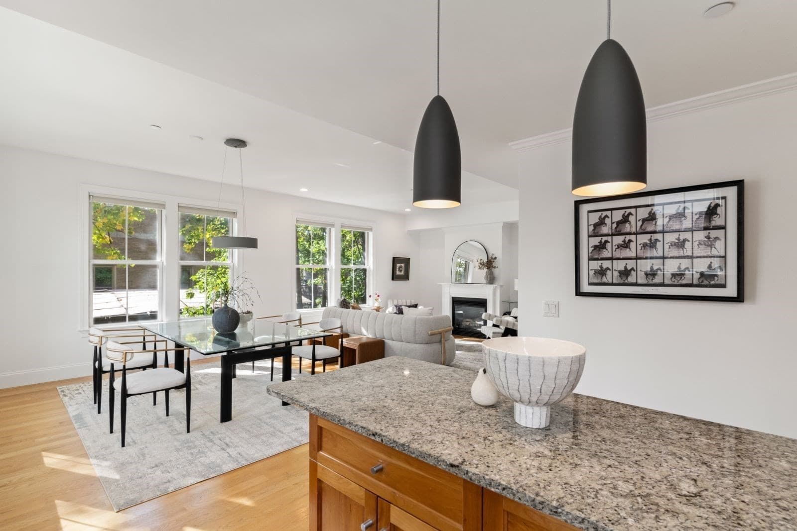 Condominium at 76 Green Street # 2, Brookline MA 02446, photo 7 of 21