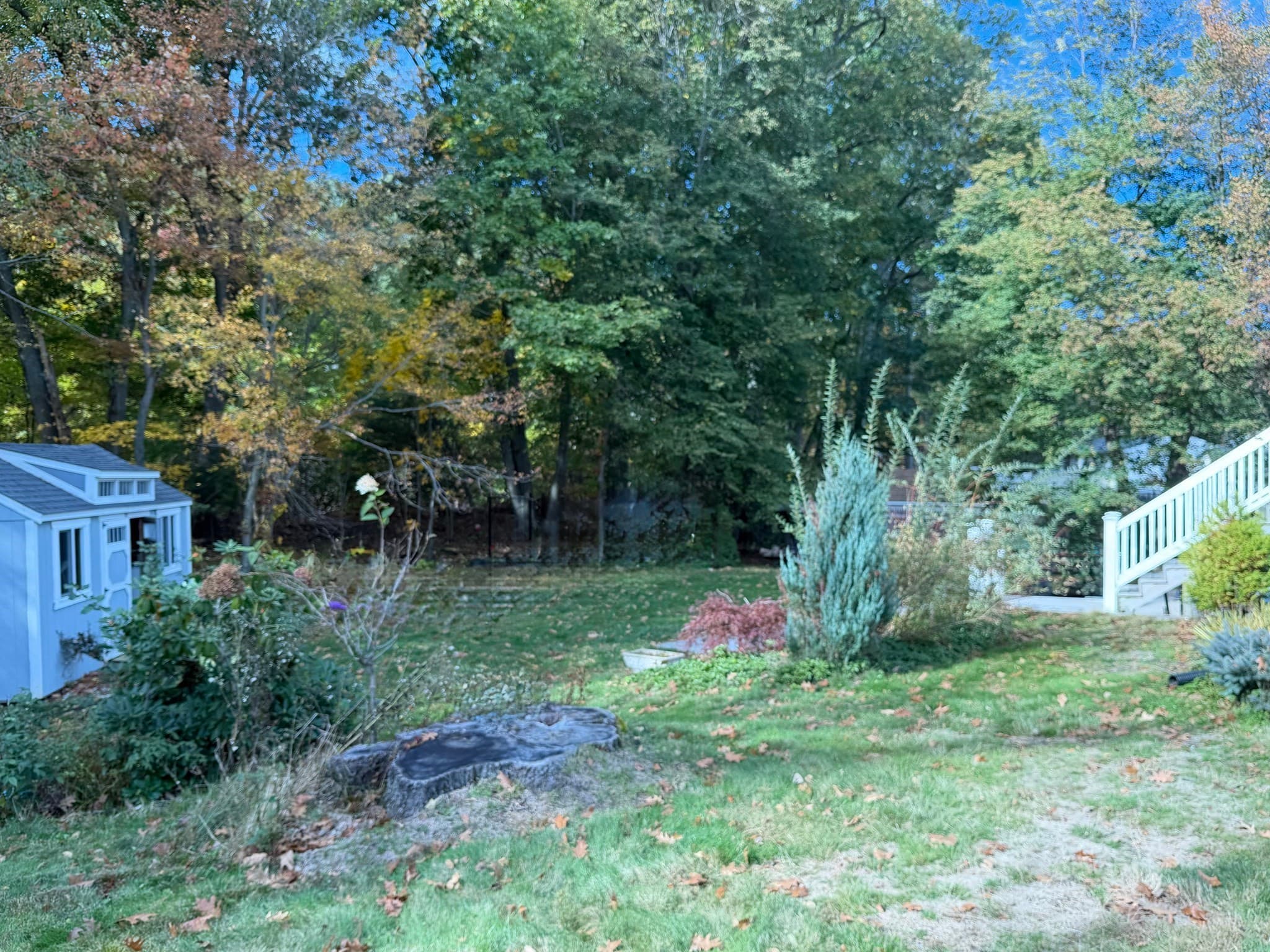 Single Family Residence at 114 Chickering Rd, Dedham MA 02026, photo 5 of 18