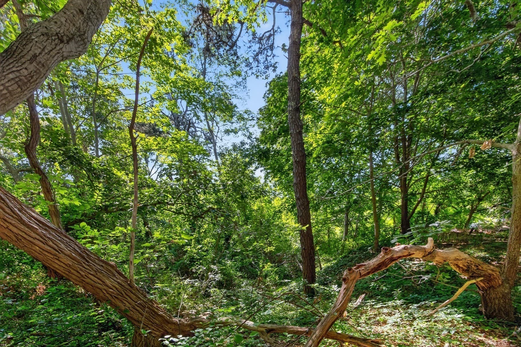Land at 70 Main Street, Lot 2, Wellfleet MA 02667, photo 10 of 12