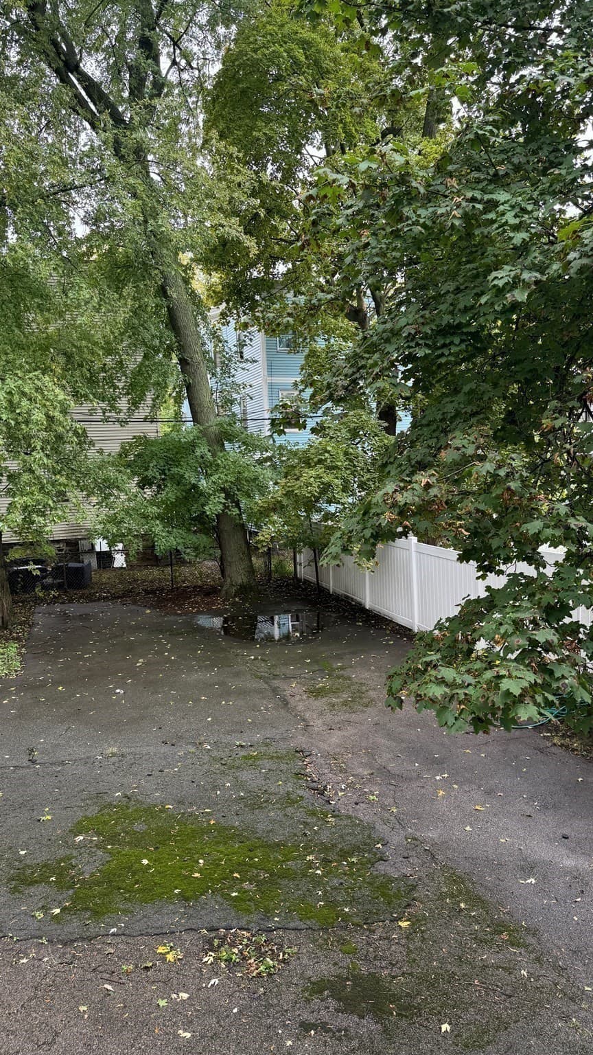 Apartment at 34 Wheatland Ave # 1, Boston MA 02124, photo 22 of 22