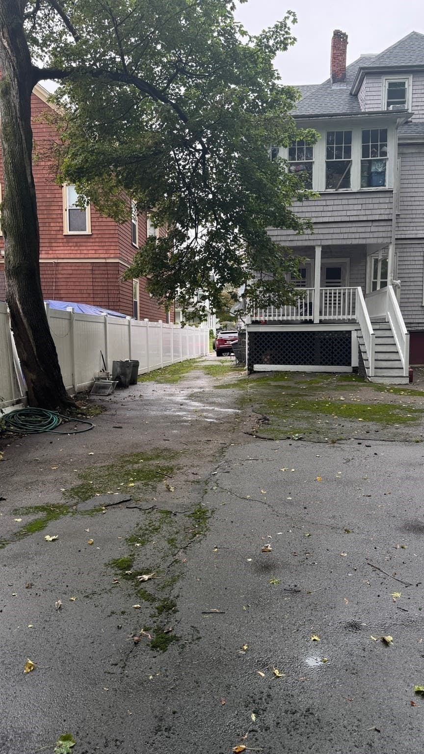 Apartment at 34 Wheatland Ave # 1, Boston MA 02124, photo 20 of 22