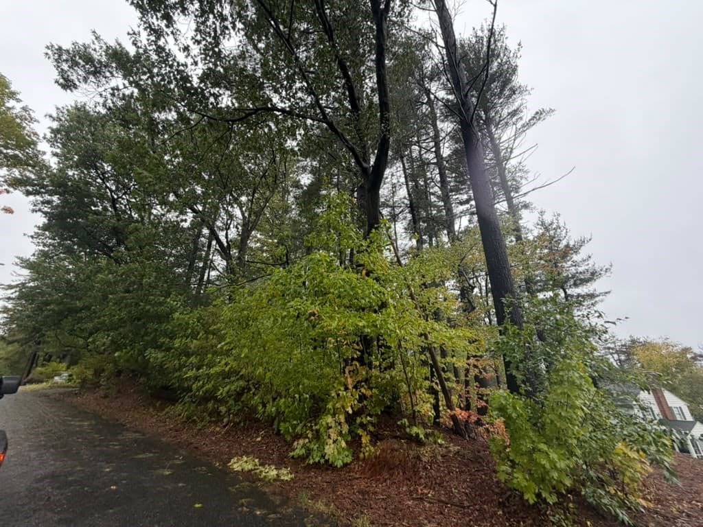 Residential at 8 Hilltop St, Grafton MA 01536, photo 2 of 5