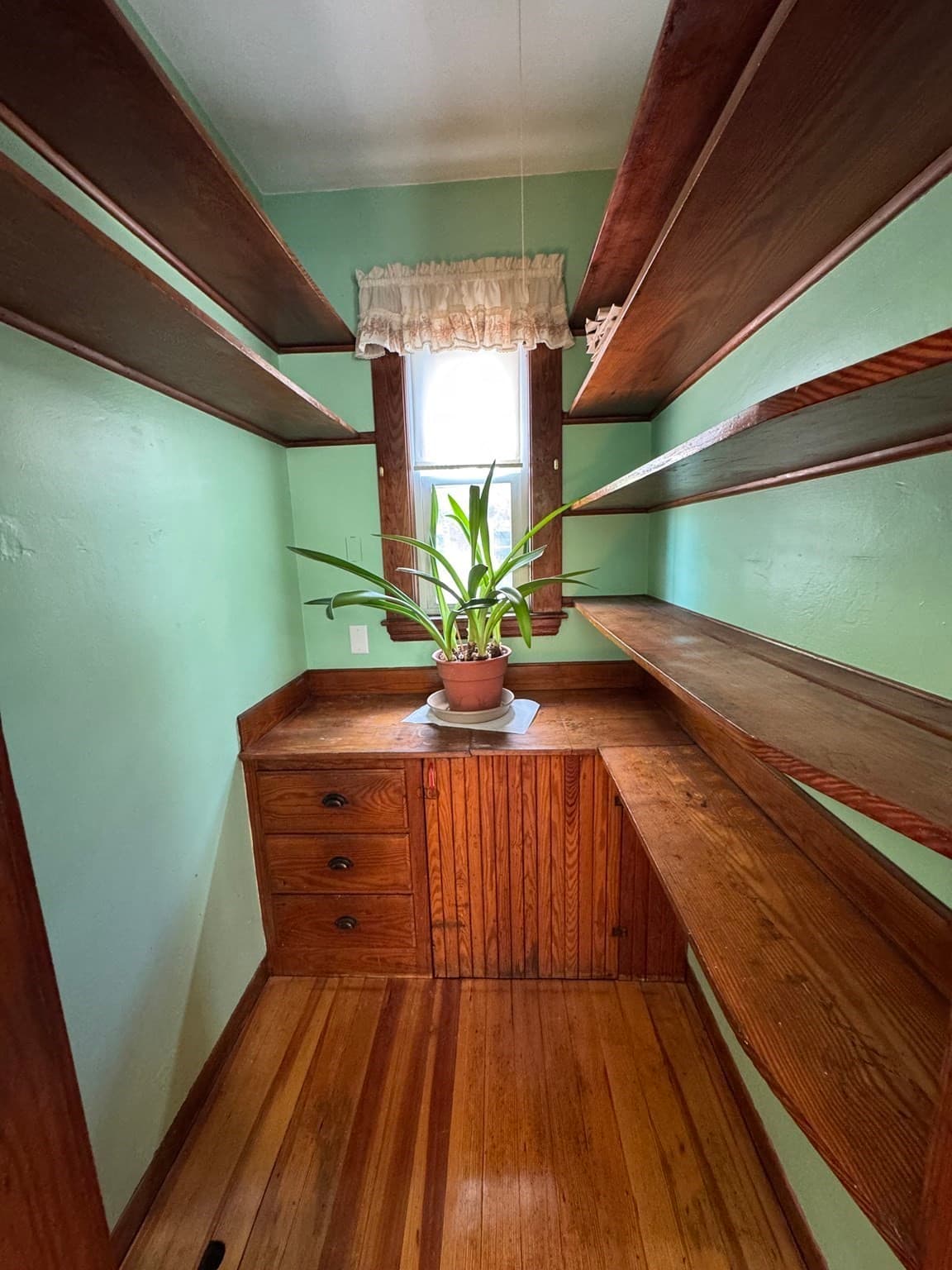 Apartment at 15 Chase Street # 3, Boston MA 02125, photo 5 of 14