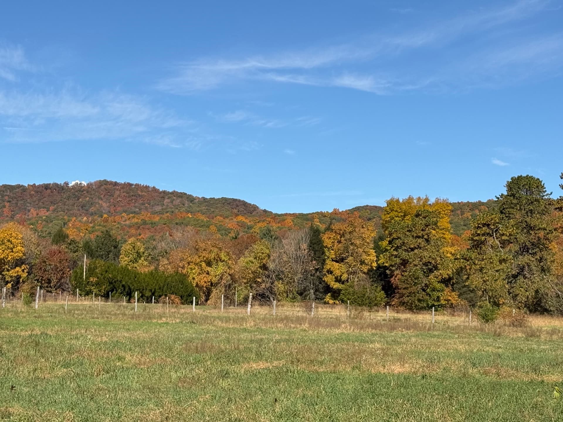 LOT 4 Pearl St, South Hadley MA 01075