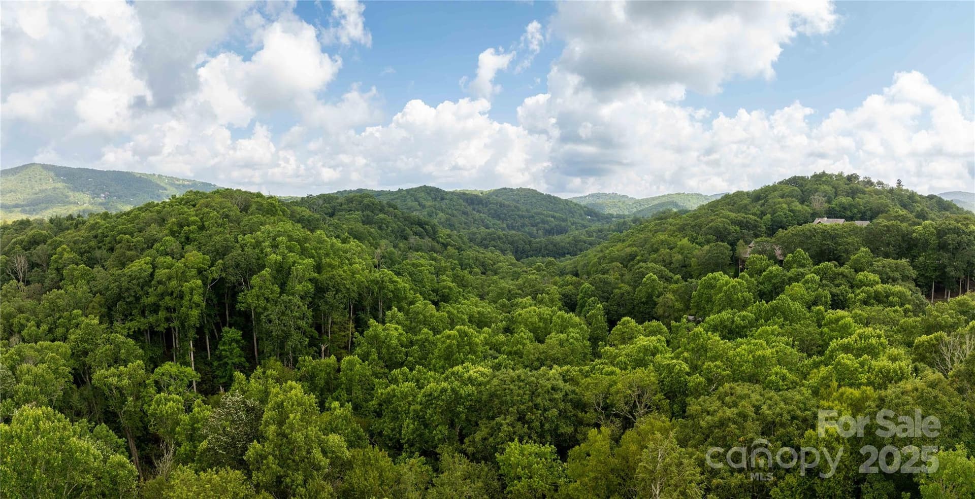 Lot 215 & 217 aerial view - TBD Lot 217 Thunderhill Trail, Blowing Rock
