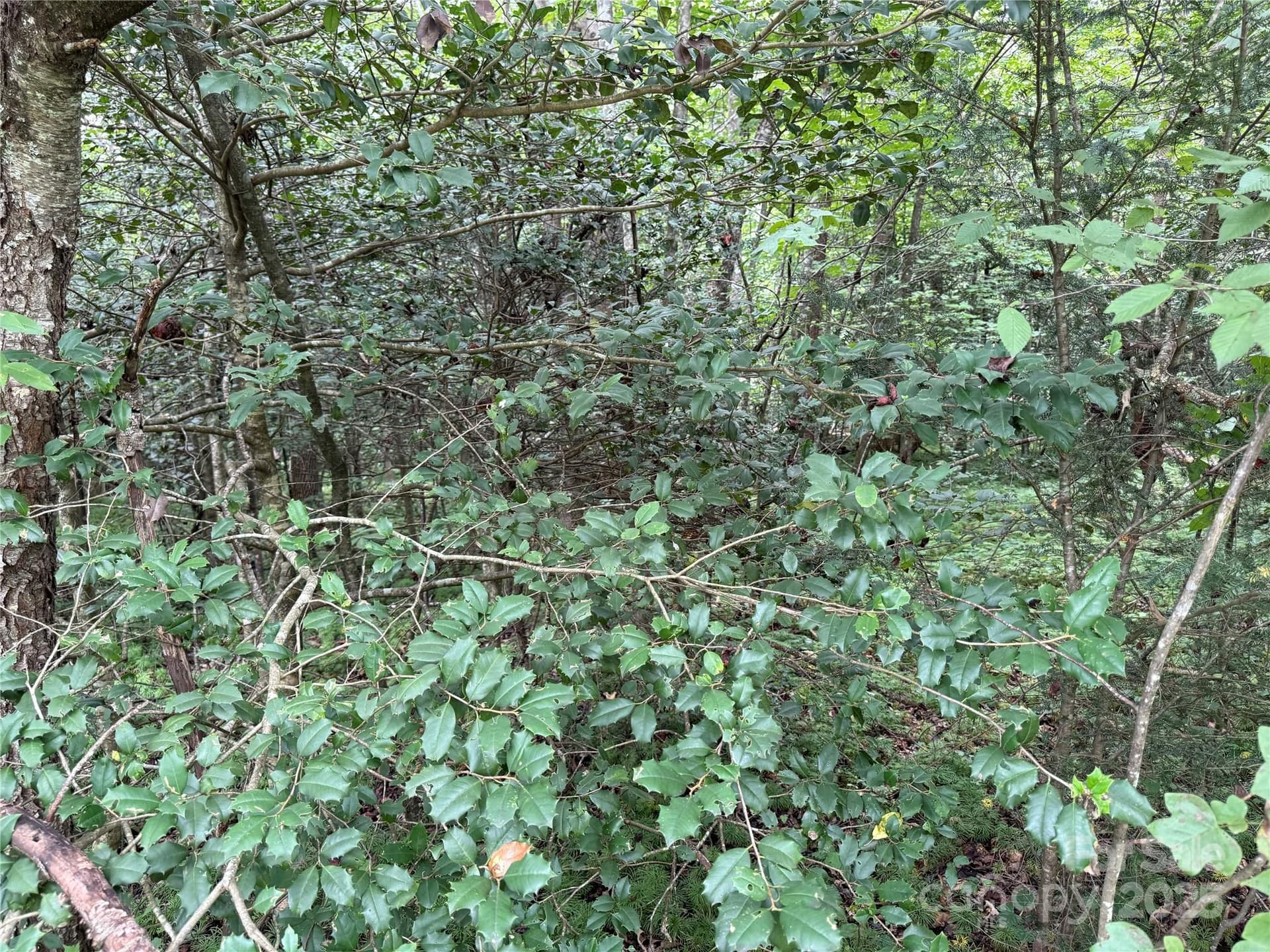 Lot 23-3 - Lot 23 Zinzendorf Lane, Moravian Falls