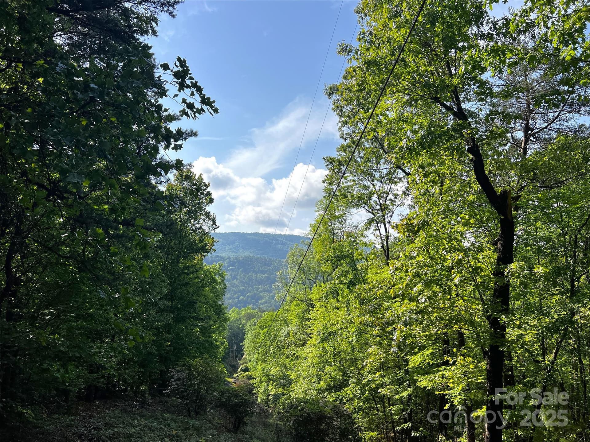 Lot 16 Arrowhead Ridge