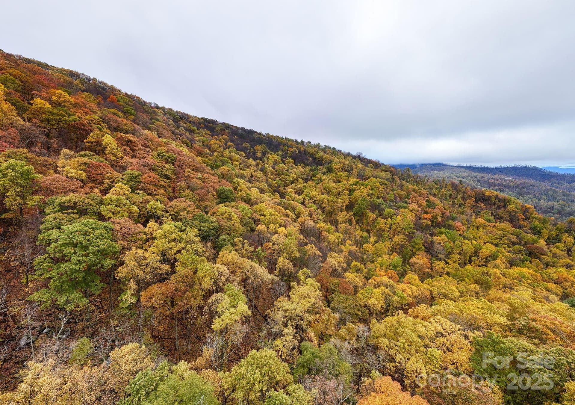 Acreage at 00 Ox Creek Road, Weaverville, photo 6 of 7