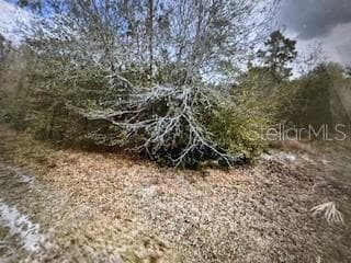 13274 CALOOSA DR