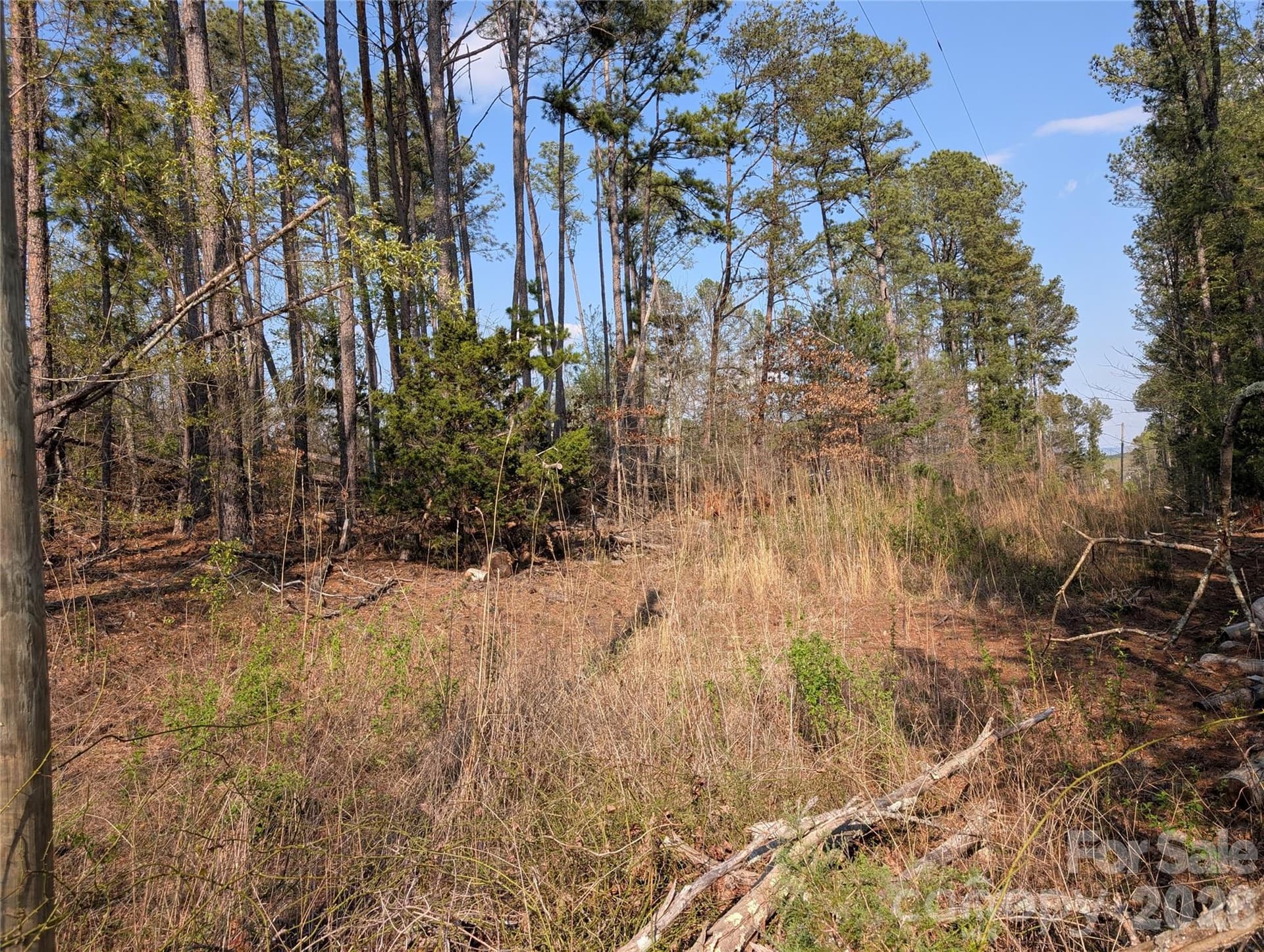 Lot at TBD Whitesides Road, Forest City, photo 2 of 4