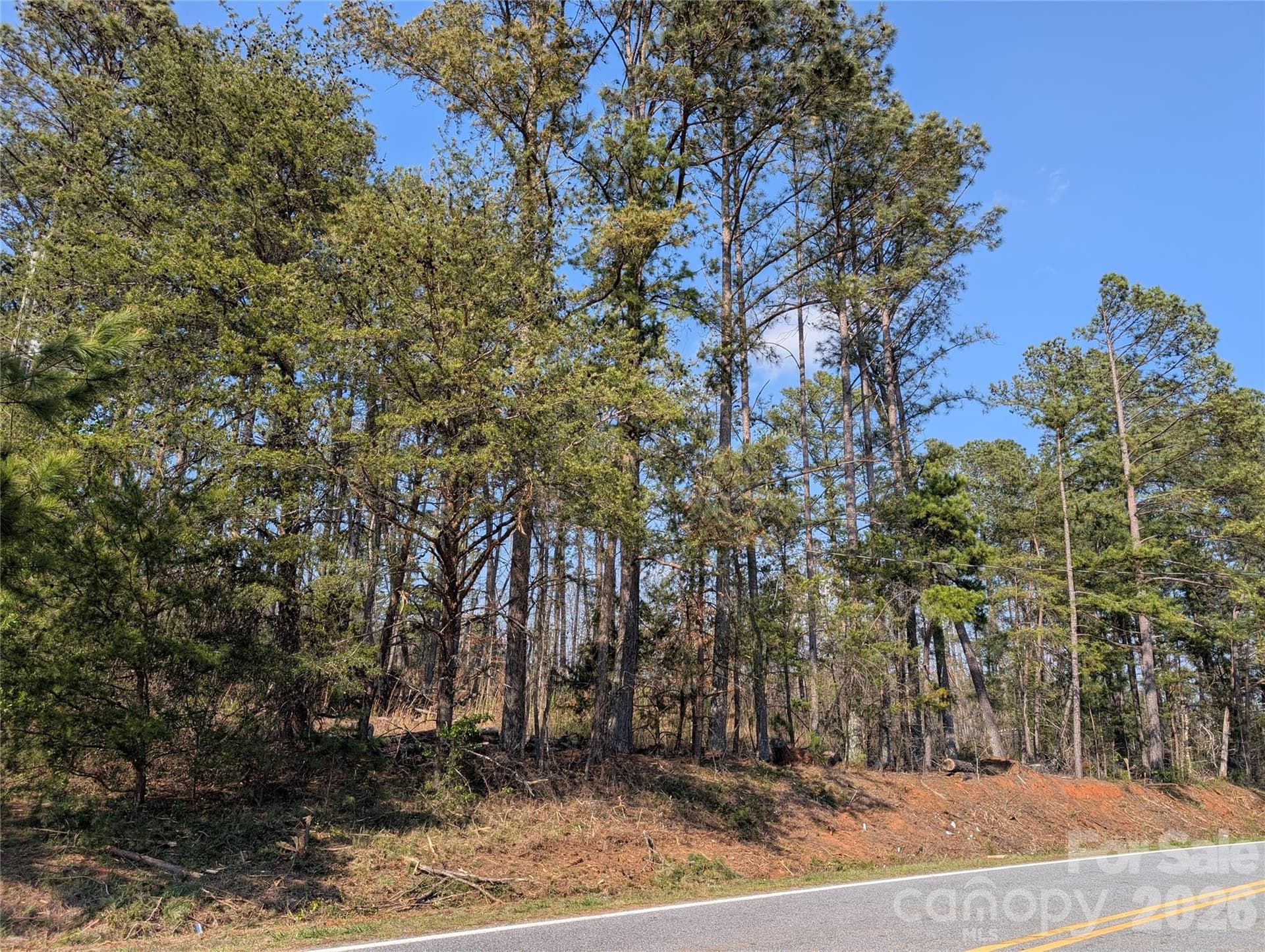 Lot at TBD Whitesides Road, Forest City, photo 3 of 4