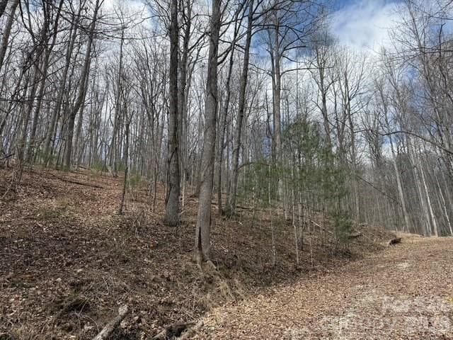 Lot at 158 Chattooga Run, Hendersonville