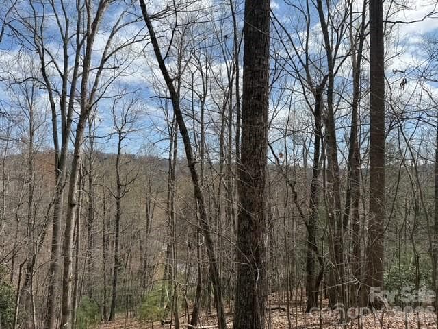 Lot at 158 Chattooga Run, Hendersonville, photo 4 of 9