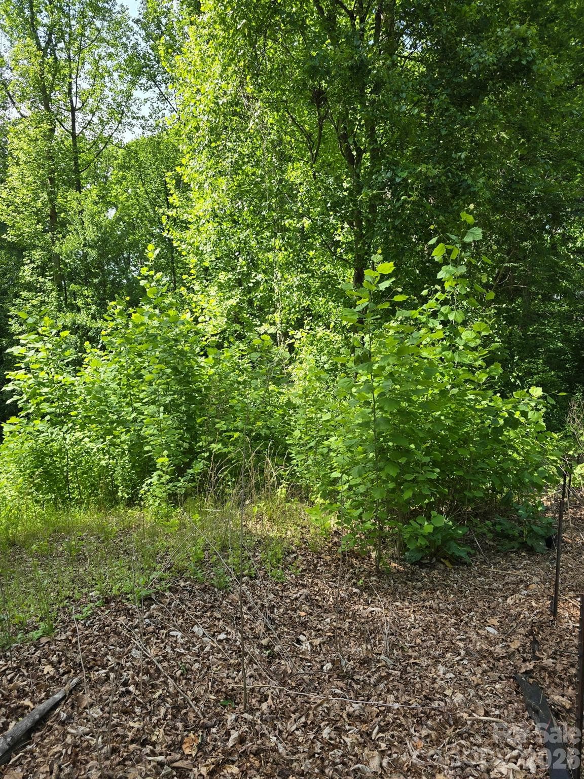 Lot at 212 Montgomery Drive, Statesville, photo 2 of 8