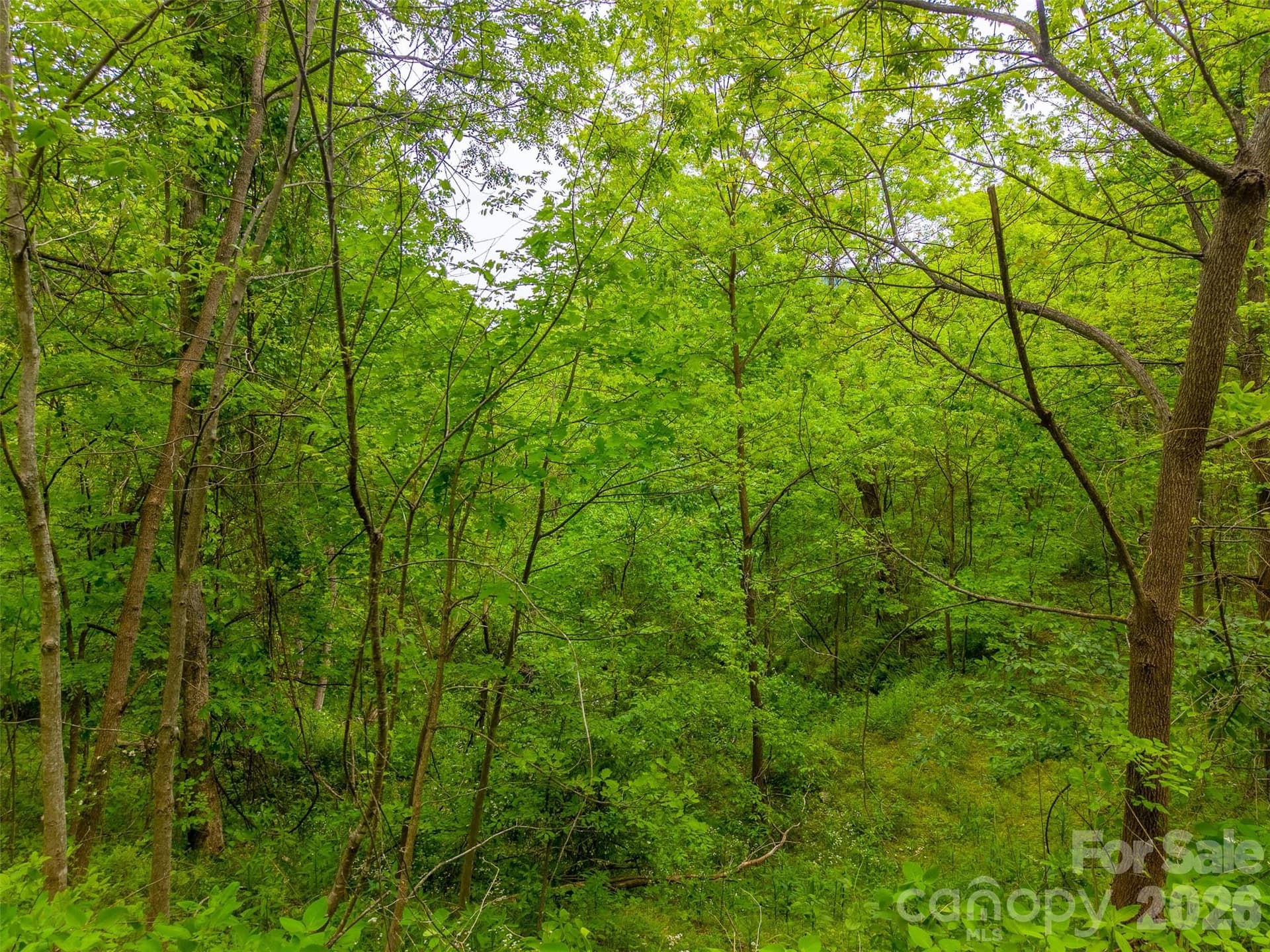 Lot at Lot 104 Campbell Mountain Drive, Waynesville, photo 9 of 17