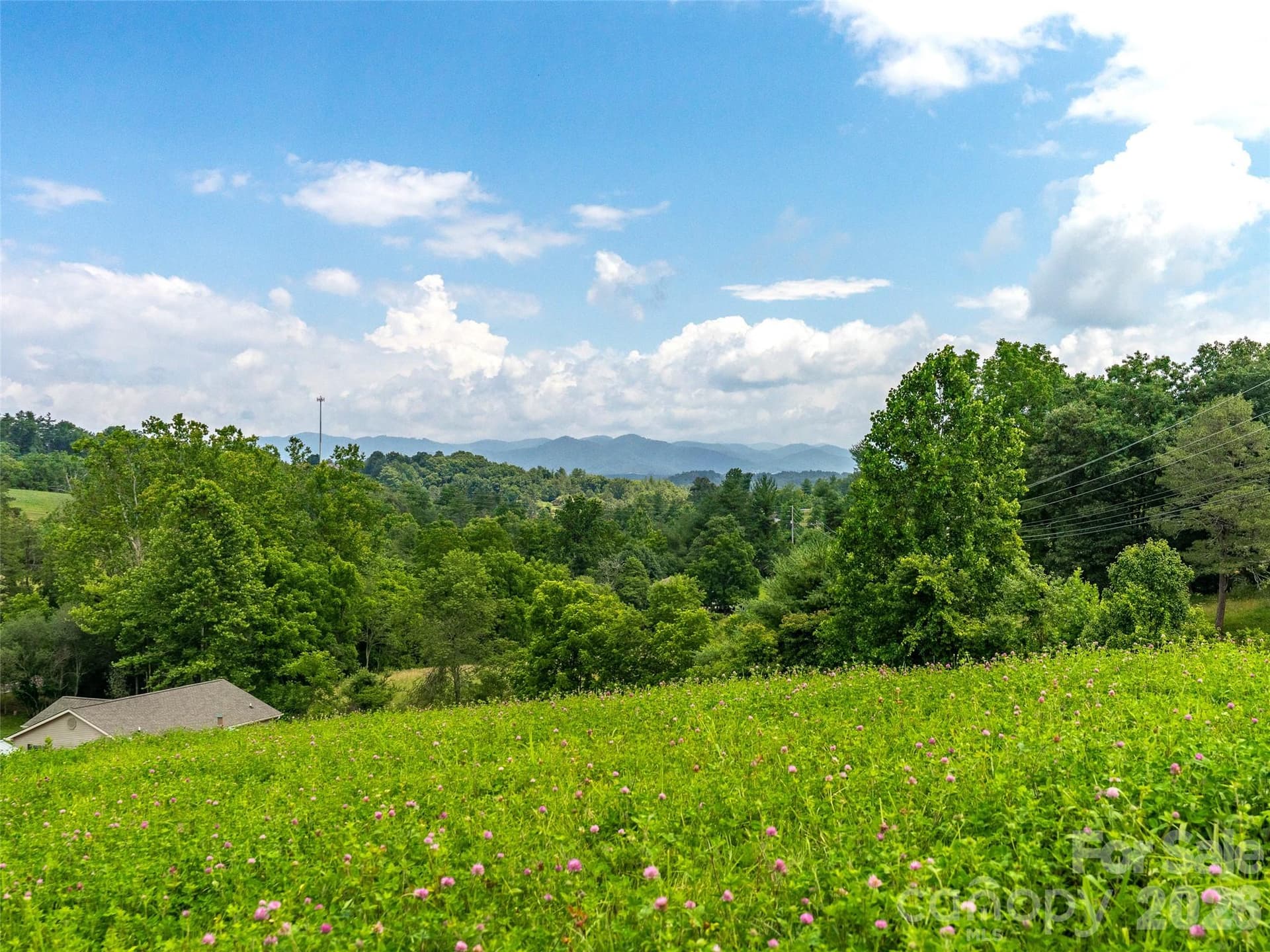Mostly Cleared & Ready to Build - 99999 Sprouse Town Road, Weaverville